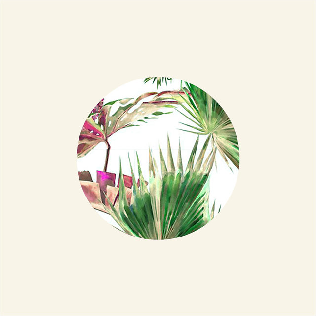 Trippy Tropical