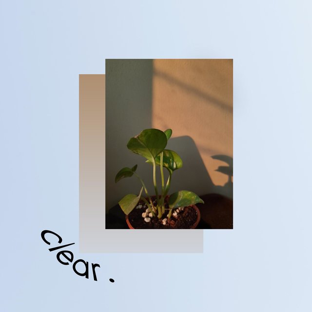 clear.