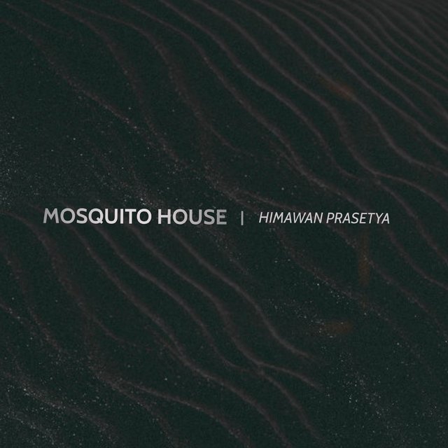 Mosquito House (Extended Version)
