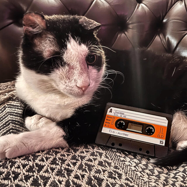 Tape session