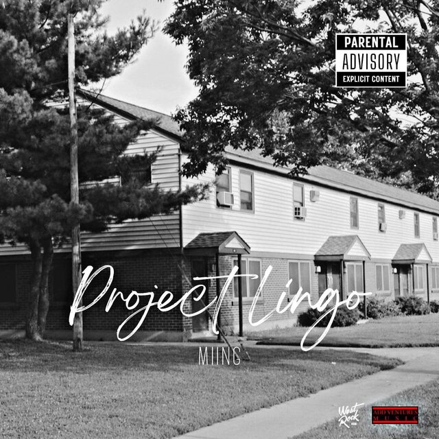 Project Lingo