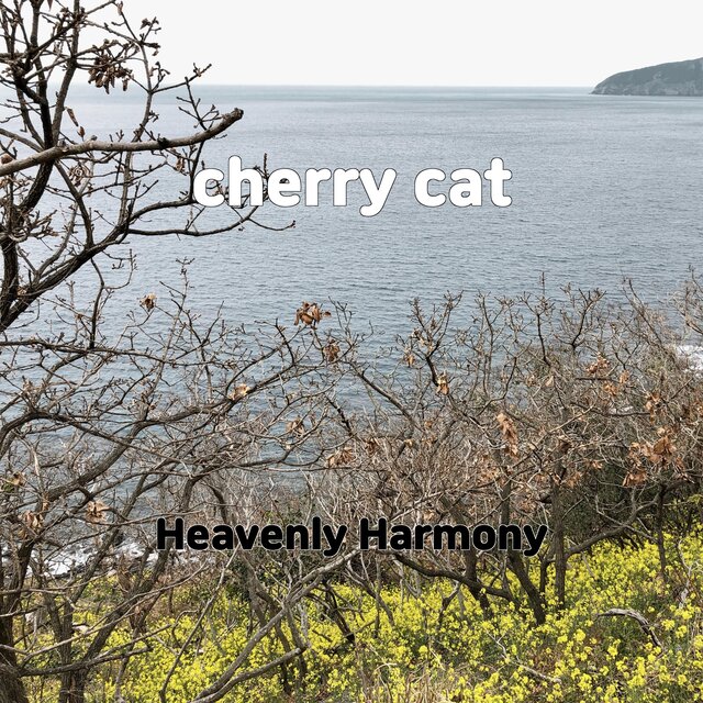 cherry cat