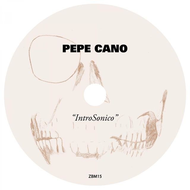 IntroSonico