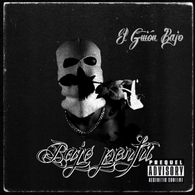Bajo perfíl