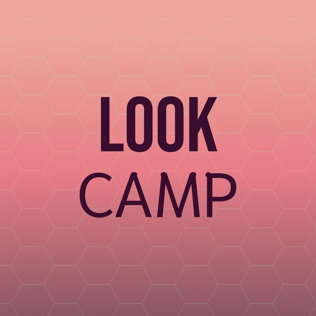 Look Camp