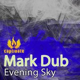 The Evening Sky