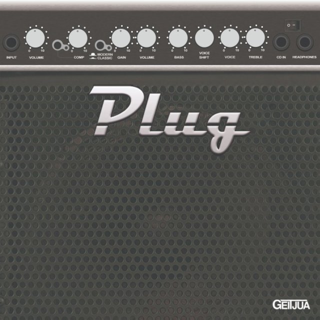 Plug