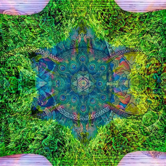 Tribal Ceremony