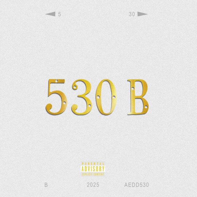 530B