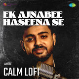 Ek Ajnabee Haseena Se