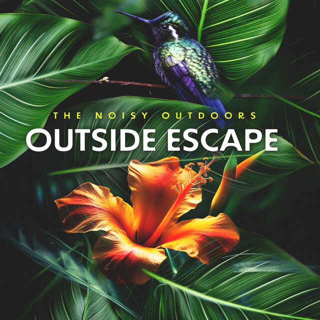 Outside Escape