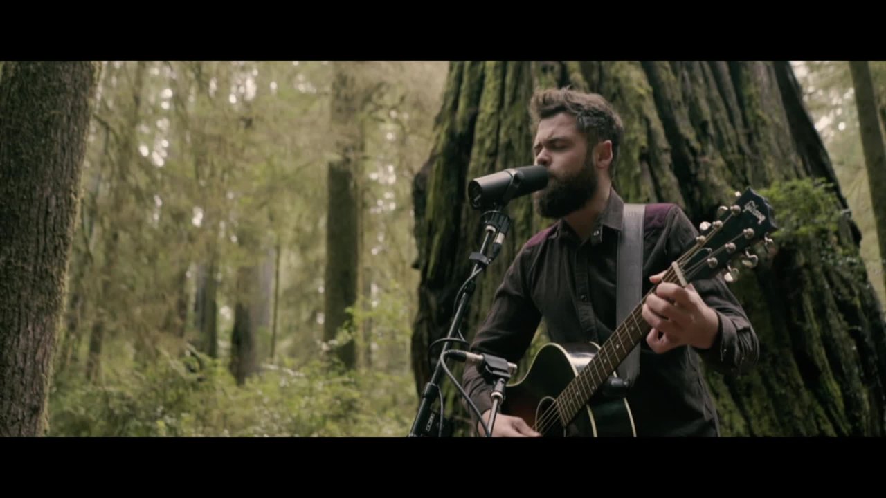 Survivors - Live from Jedediah Smith Redwood State Park, Or