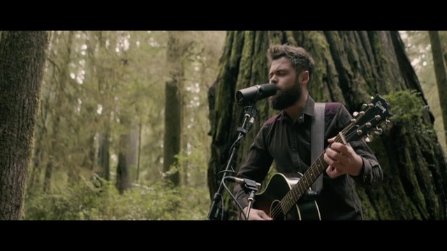 Survivors - Live from Jedediah Smith Redwood State Park, Or