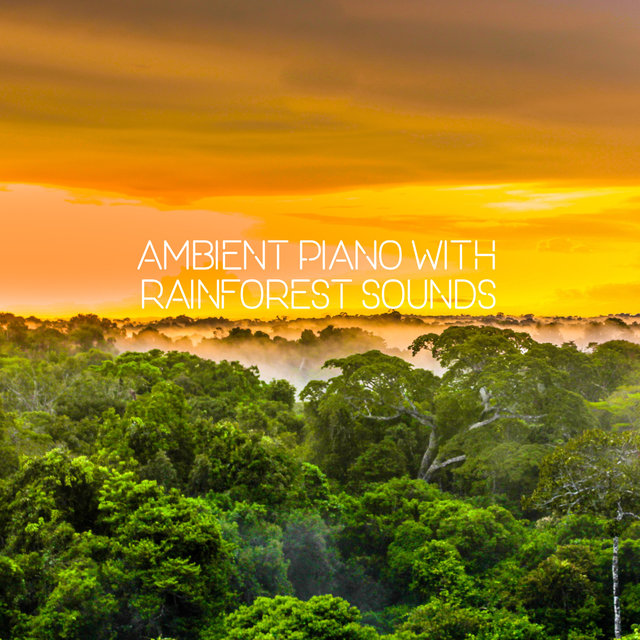 Ambient Piano With Rainforest Sounds
