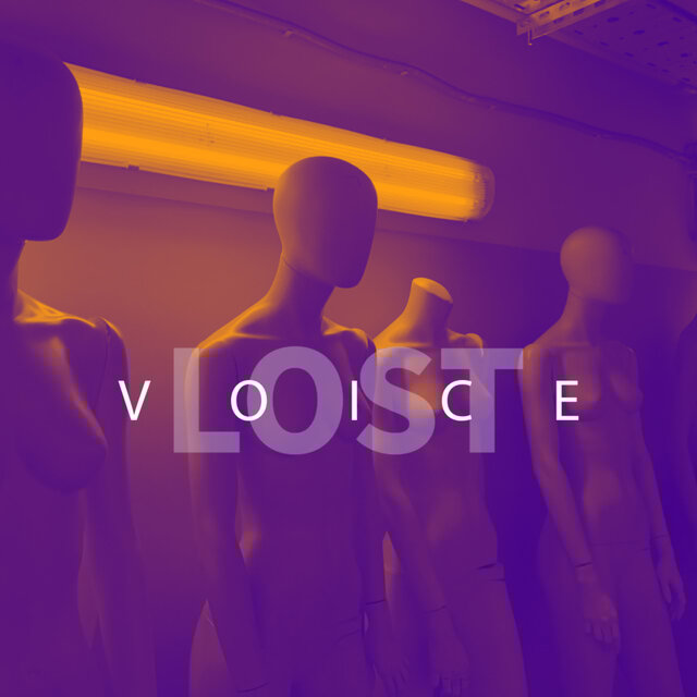 Lost Voice