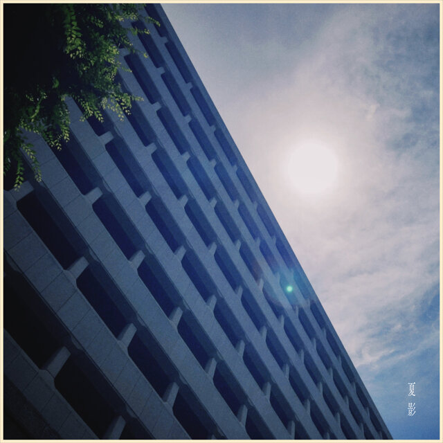 Shade of Summer