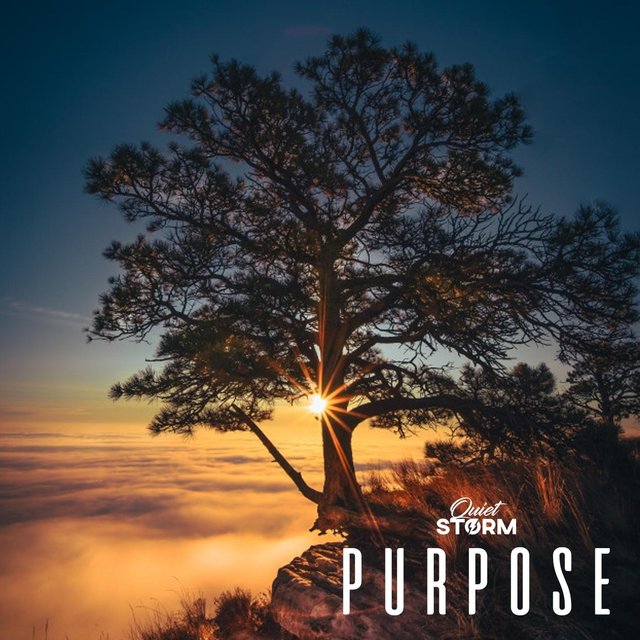 Purpose