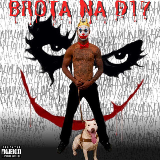 Brota na D17