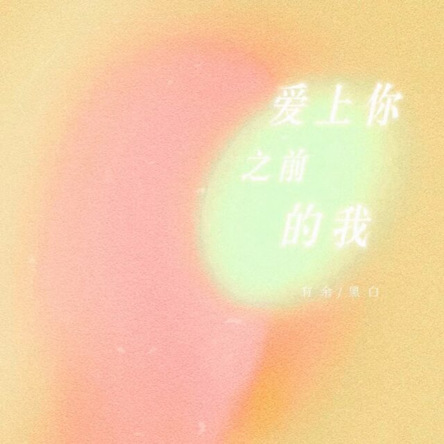爱上你之前的我