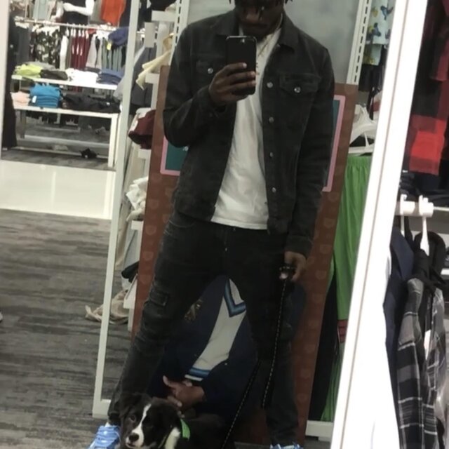 Dog