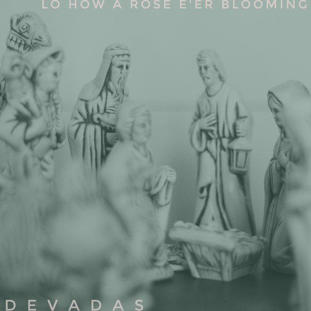 Lo How a Rose E'er Blooming