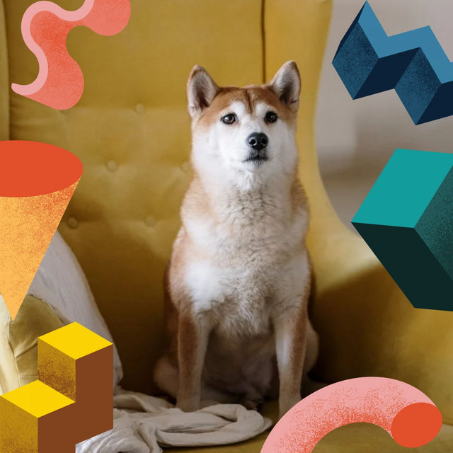 (Trumpet Jazz) Music for Doggy Hotels