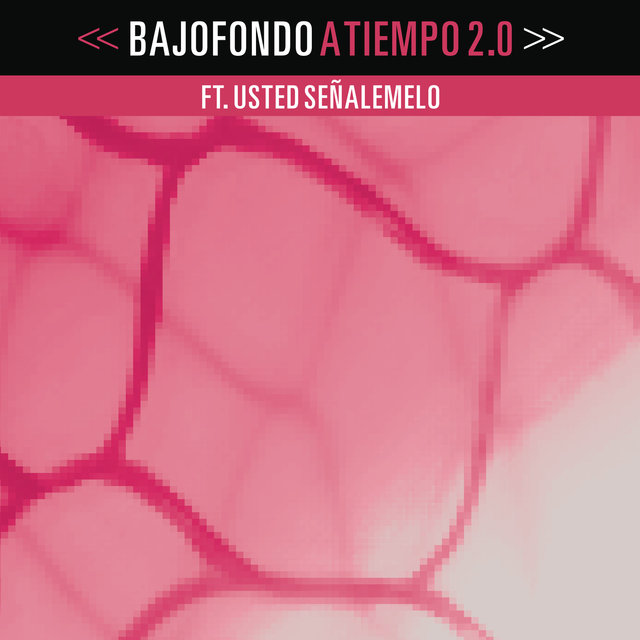 A Tiempo 2.0 (feat. Usted Señalemelo)