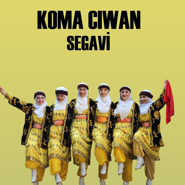 Segavi
