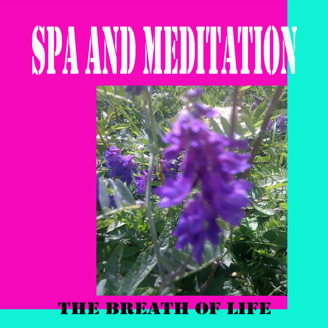 Spa and Meditation