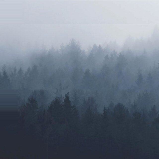 Motions