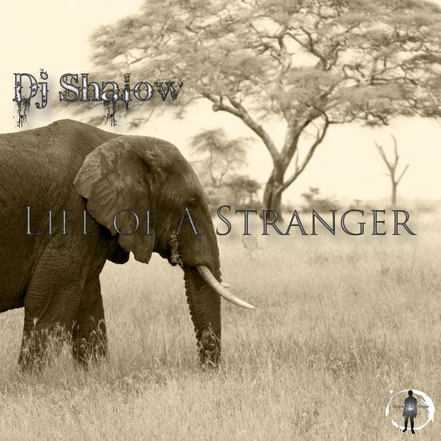 Life of a stranger (Soulful Mix)