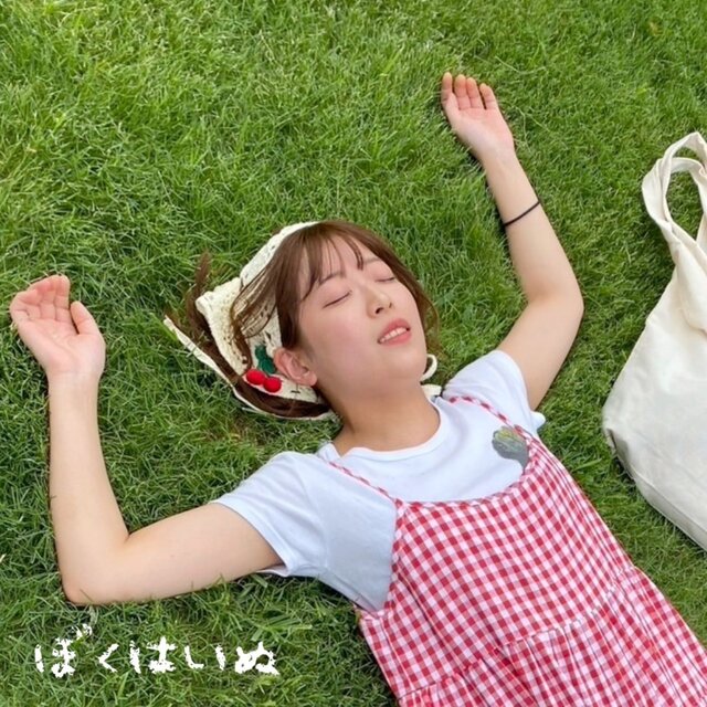 bokuhainu