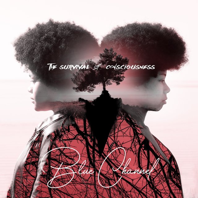 The Survival of consciousness