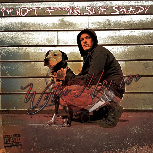 I'm Not F***ing Slim Shady