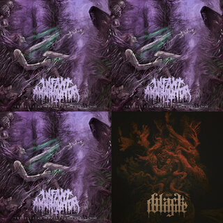 Infant Annihilator - TIDAL