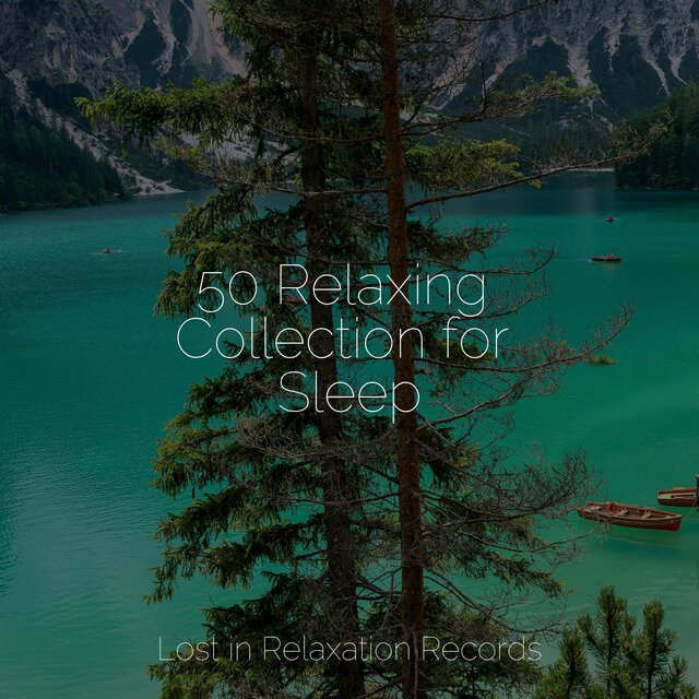 50 Relaxing Collection for Sleep