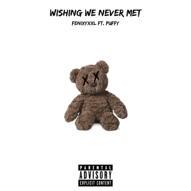 Wishing We Never Met
