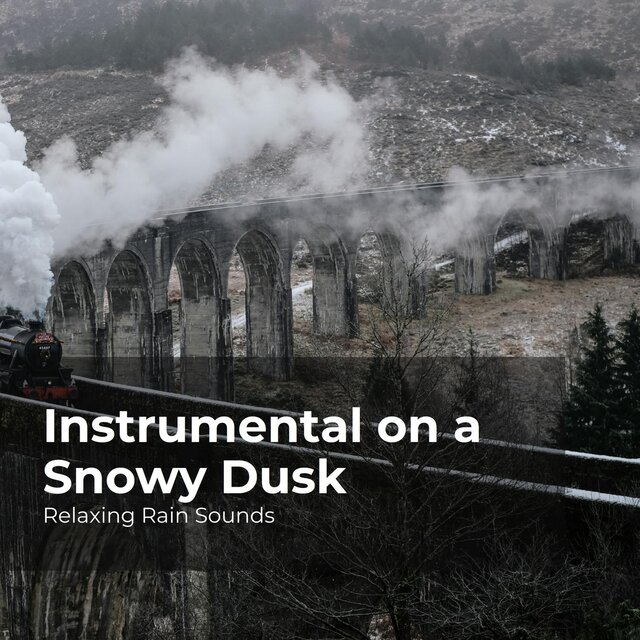 Instrumental on a Snowy Dusk