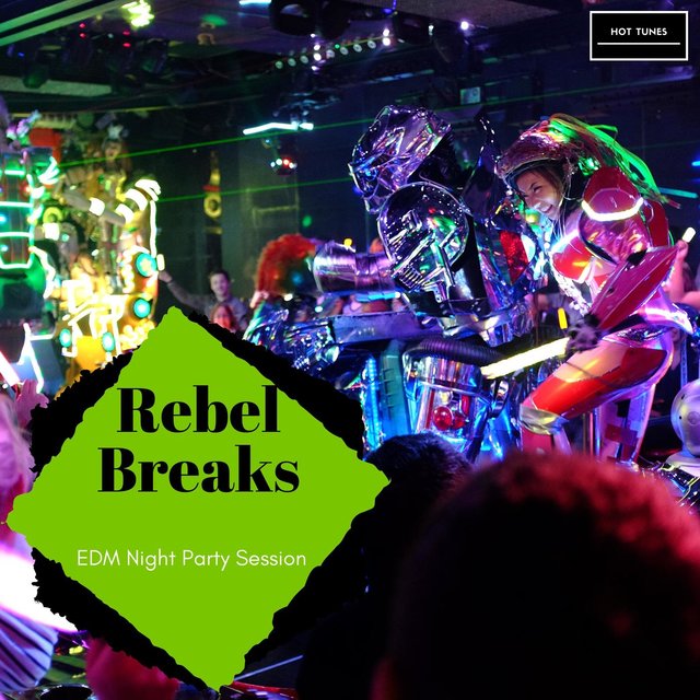 Rebel Breaks - EDM Night Party Session