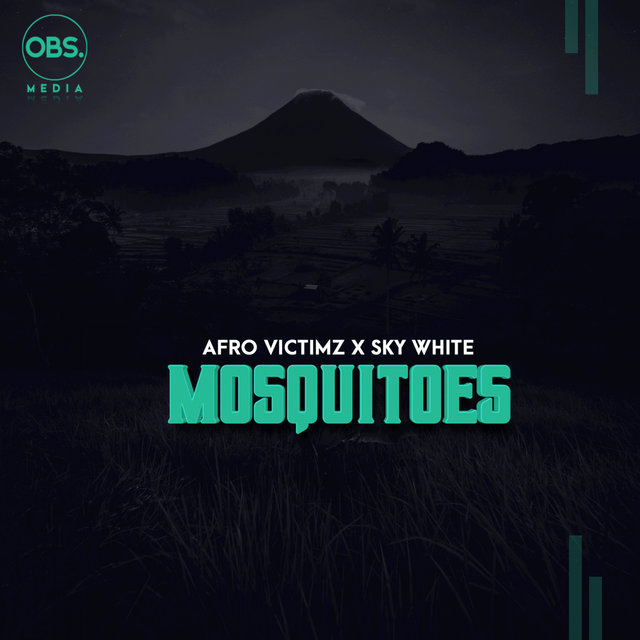 Cover art for album Mosquitoes by Afro Victimz, Sky White