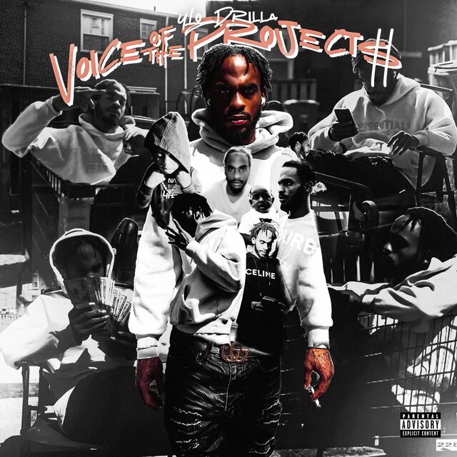 Voice Of The Projects 2