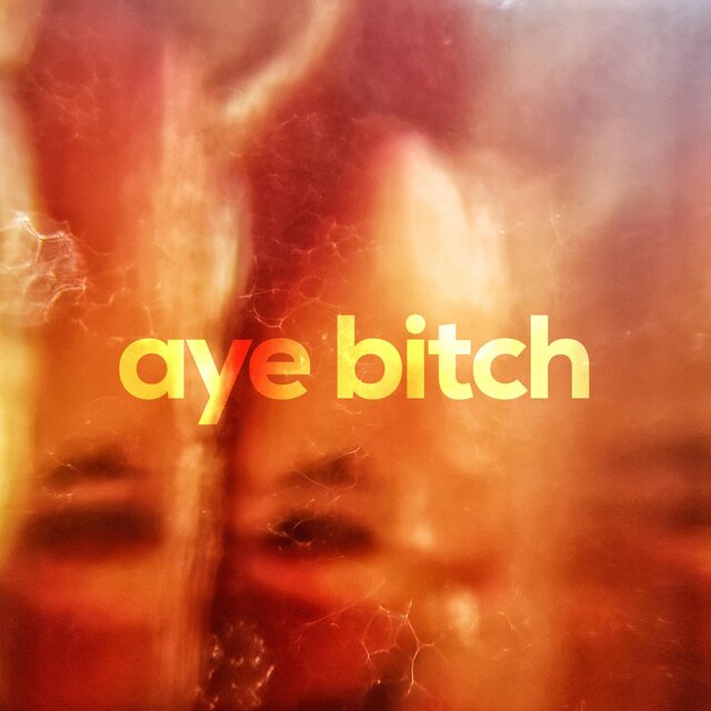Aye Bitch