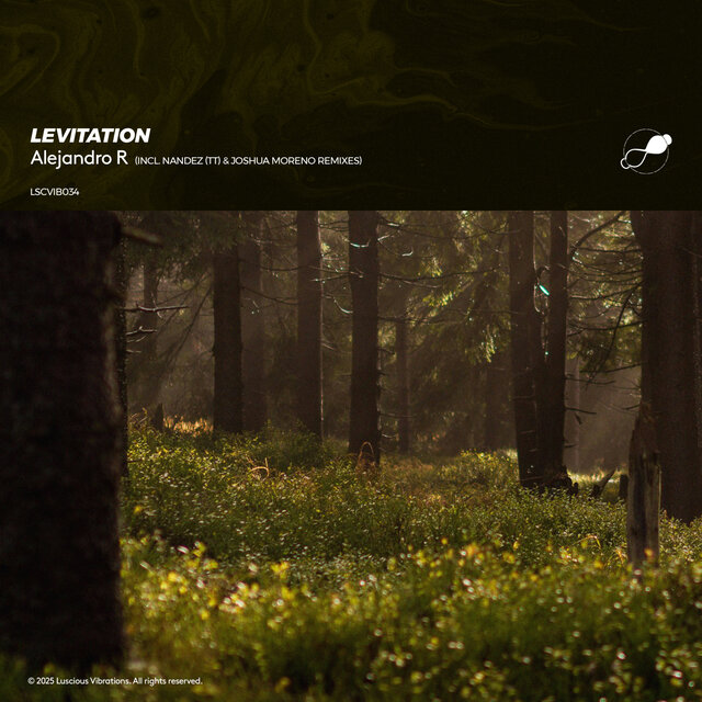 Levitation (Nandez TT Remix)