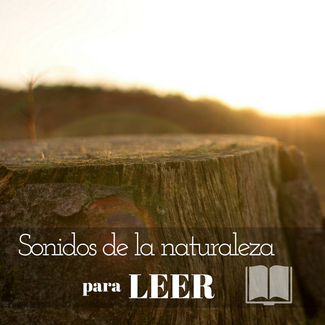Sonidos de la naturaleza para leer – Musica para la relajación antes del estudio, mejor concentración, lectura, concentración, aprendizaje para el examen