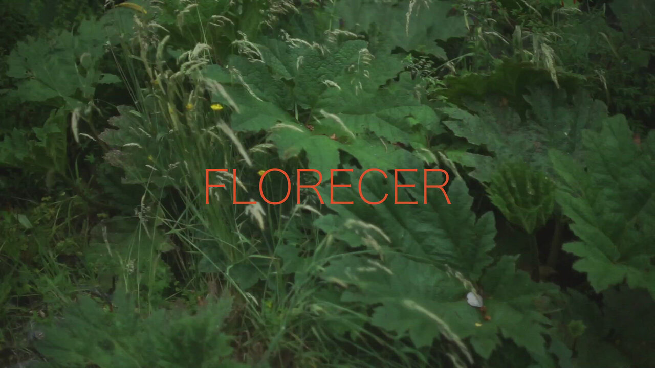 Florecer