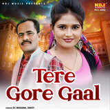 Tere Gore Gaal