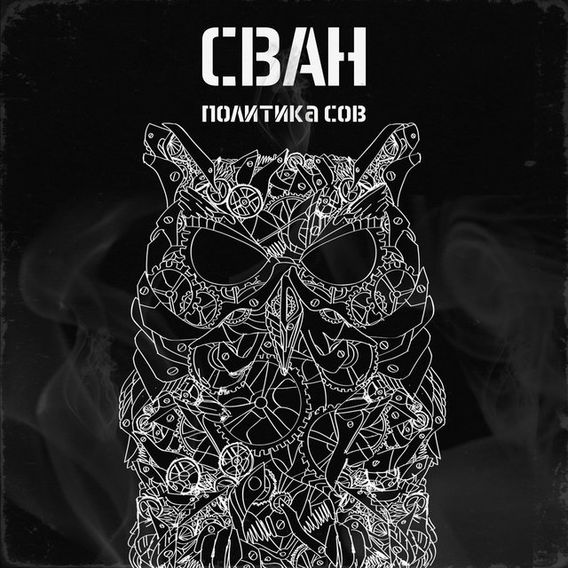 Политика сов