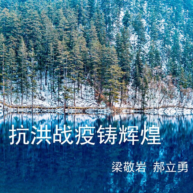 抗洪战疫铸辉煌