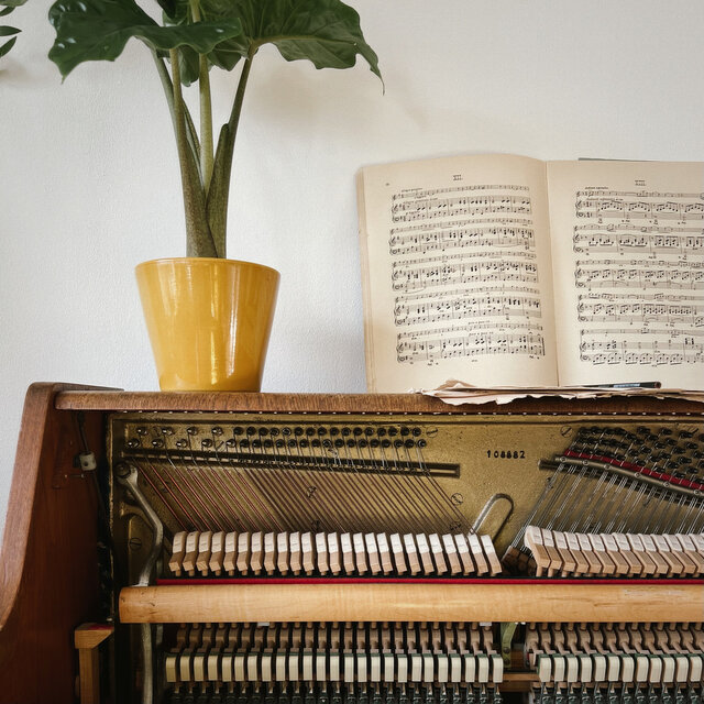 Chasing Cars (Piano Arrangement)