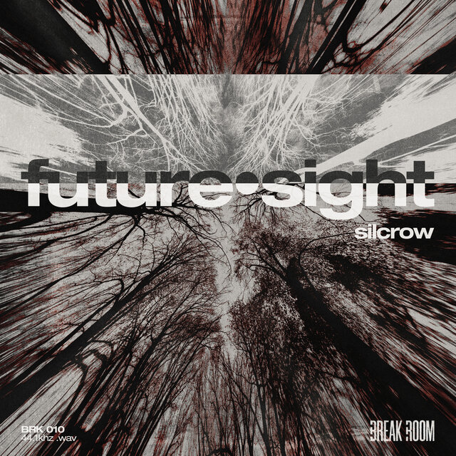 future·sight